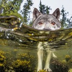 12.British Columbia, Kanada