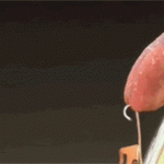 .En acı yara imiş…