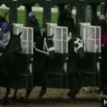 2 – Hepimiz yarış atı gibi yetiştirildik