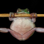 2015in en ilginc fotograflari – 12