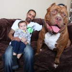 2015in en ilginc fotograflari – 16