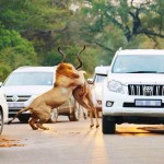 2015in en ilginc fotograflari – 30