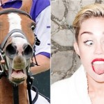 Miley Cyrus Benzerleri Foto -04