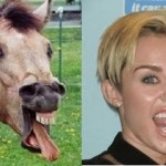 Miley Cyrus Benzerleri Foto -05
