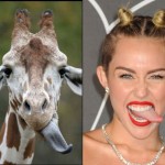 Miley Cyrus Benzerleri Foto -18