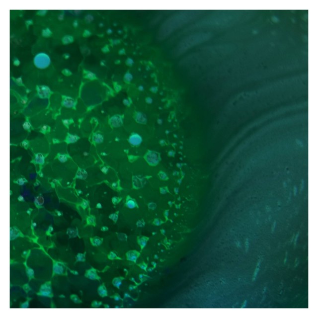 Radiohead – Spectre