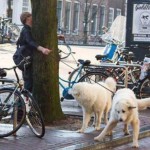 Talihsiz anlar serisi -12