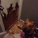 Talihsiz anlar serisi -16