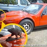 ugly-car-mods-07