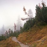 03 – Ne kadar dikkatlisiniz