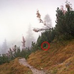 04 – Ne kadar dikkatlisiniz