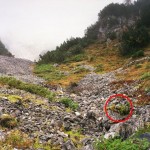 06 – Ne kadar dikkatlisiniz