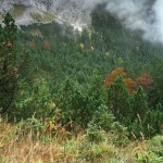 07 – Ne kadar dikkatlisiniz
