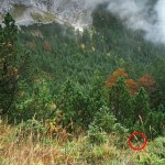 08 – Ne kadar dikkatlisiniz
