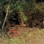 14 – Ne kadar dikkatlisiniz