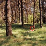 18 – Ne kadar dikkatlisiniz
