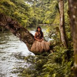 36 – Amazon Rainforest