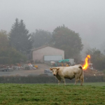 Goz illuzyonlari foto-10