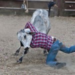 Goz illuzyonlari foto-12