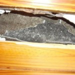 Tuhaf Olaylar –  02