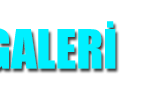 foto-galeri