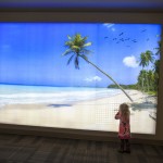 fotografcinin-gozu-onunde-kadina-siddet-foto-01