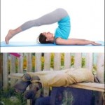 Vodka-Yoga-iliskisi-foto-20