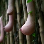 doganin-sasirtan-yuzu-1