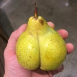 doganin-sasirtan-yuzu-9