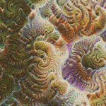 google-robot-resamları-18