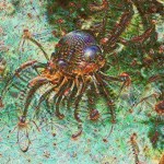 google-robot-resamları-21