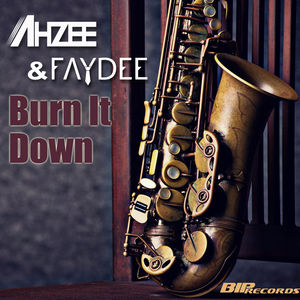 Ahzee & Faydee – Burn it Down