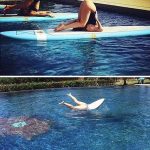 Celeste Barber sosyal medya sakasi 1369