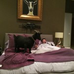 Dan Bilzerian 1 Milyon dolari kazandi 1051