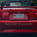 kufurlu plakalar  017