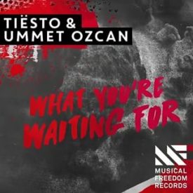 Tiësto & Ummet Ozcan – What You’re Waiting For