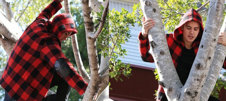 Justin Bieber Ağaç Tepesinde Kafa Dinledi!