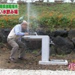 Sadece Asyada Rastlanacak 40 sey 1866