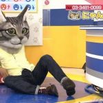 Sadece Asyada Rastlanacak 40 sey 3336