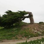 ruzgarı hafife almayin 0886