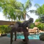 yoganin sultanlari 2748
