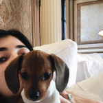 Screen Shot 2016-07-31 at 1.47.55 PM