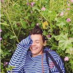 57ed1e6f67b0a91bbc34c56f