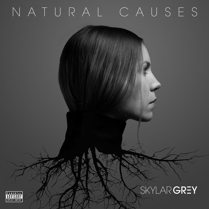 Skylar Grey – Come Up For Air