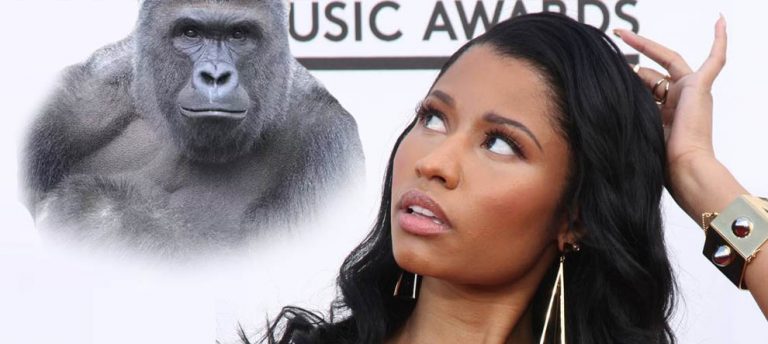 Nicki Minaj Ödürülen Goril Harambe Unutmadı