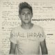 Niall Horan – This Town