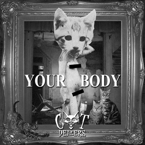 Cat Dealers – Your Body