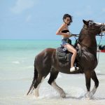 37429DAC00000578-0-image-m-129_1471290587874