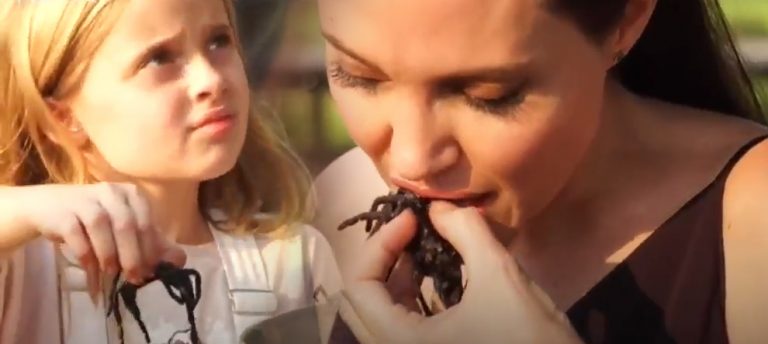 Angelina Jolie Çocuklarına Böcek Yedirdi