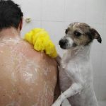 Radass-Daily-Picdump-062017-022